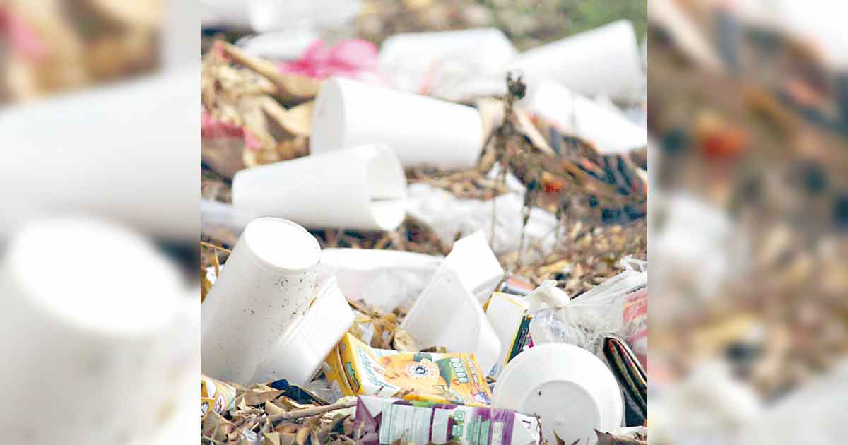 No más daño al medio ambiente