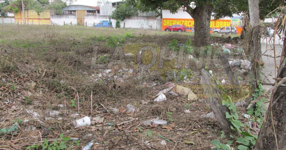 Se expropiarán 35 lotes baldíos: Dirección de Medio Ambiente