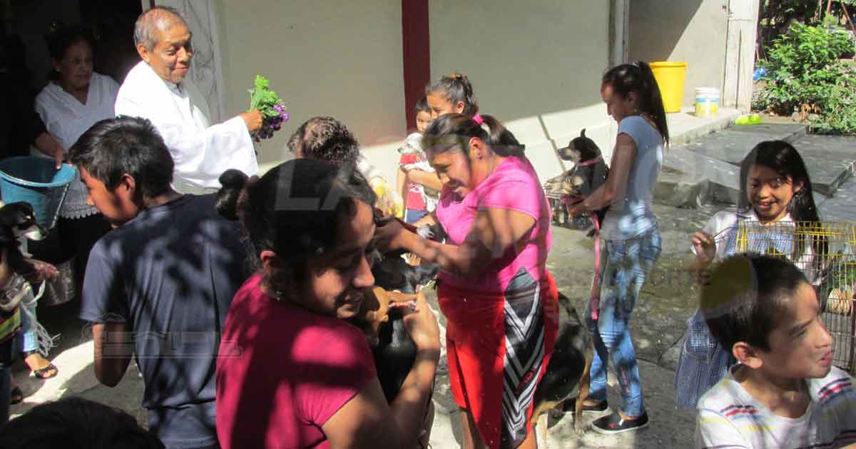 Necesario alentar la piedad cristiana