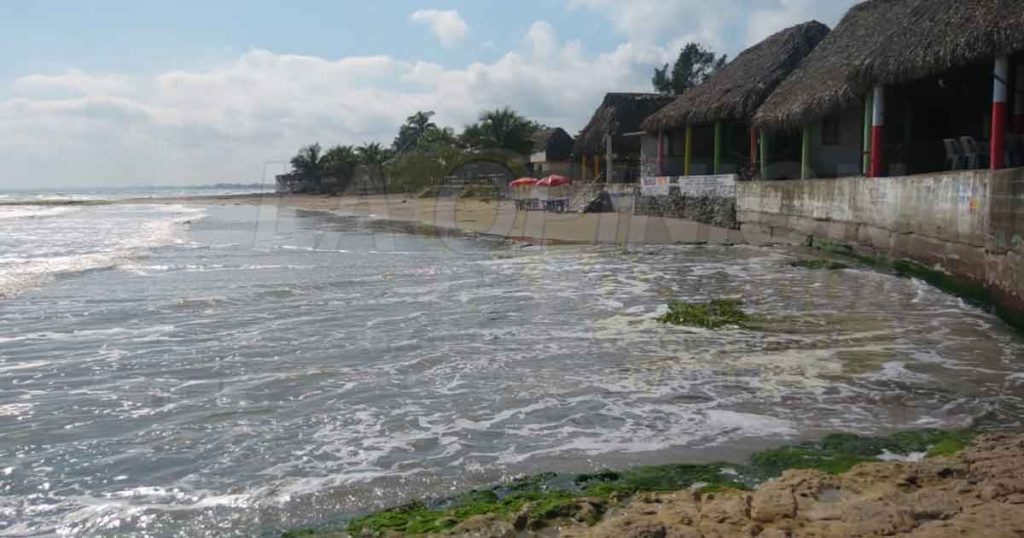 Desorganizados los prestadores de servicios