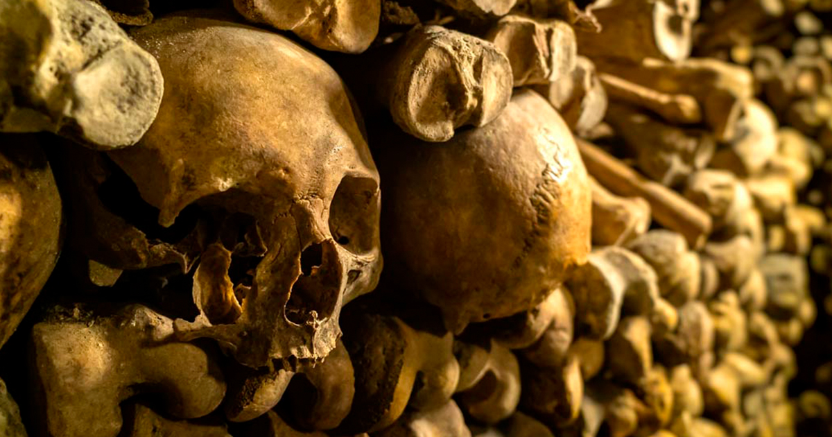 Paredes formadas de huesos humanos descubiertas debajo de la catedral