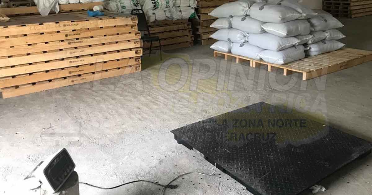 Para obtener más recursos productores de frijol aprovechan precio de garantía