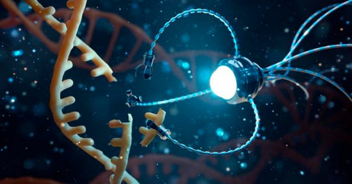 Biorobots: la nueva tecnología que llevará la medicina a otro nivel