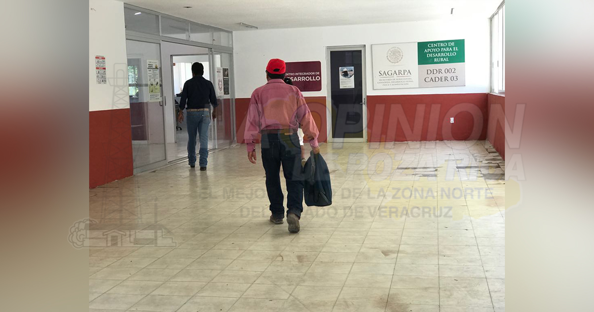 Buscan elevar la productividad del campo, a través de cultivos de maíz y frijol