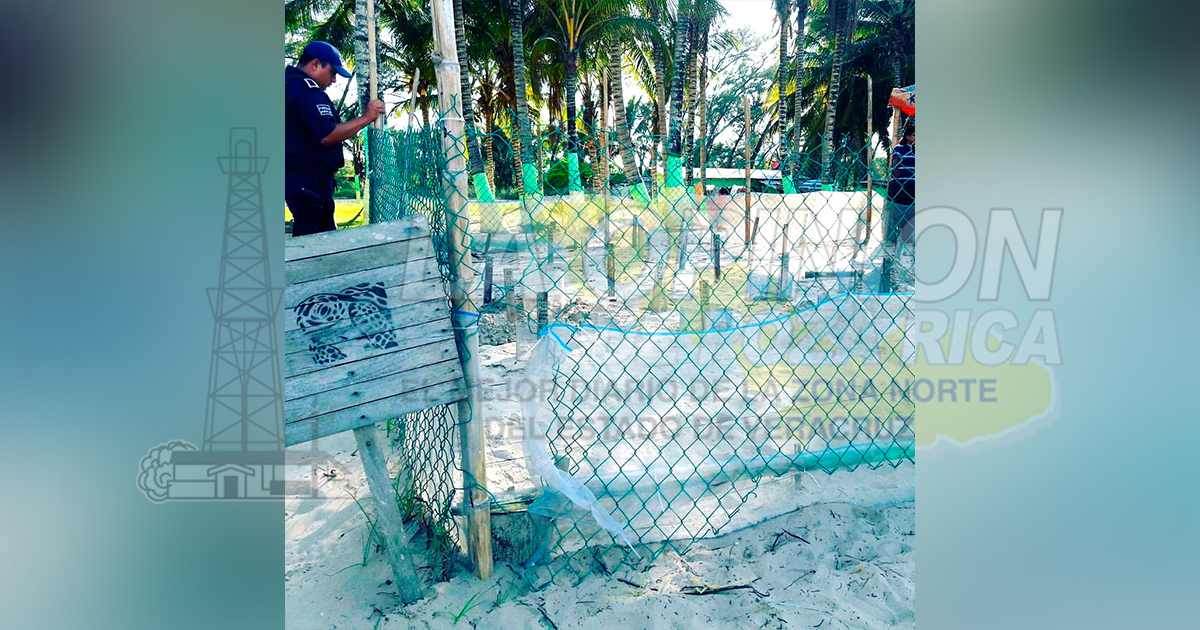 Lugareños ahora cuidan de tortugas