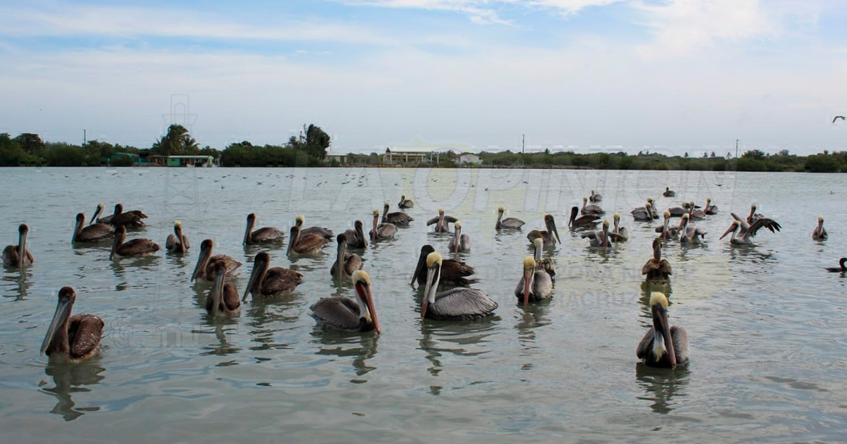 Llamado al cuidado de sitios Ramsar