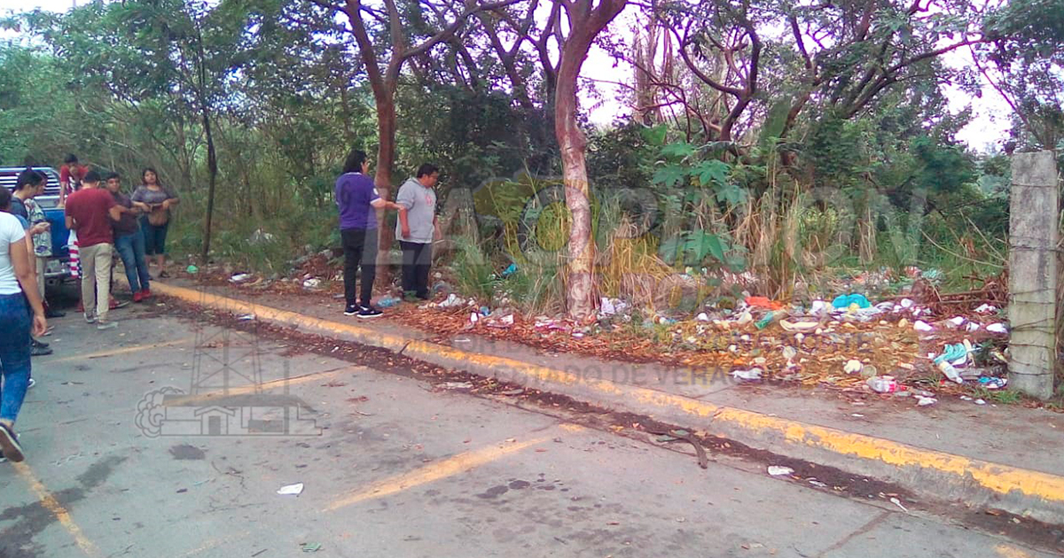 Van por reciclaje total de desperdicios