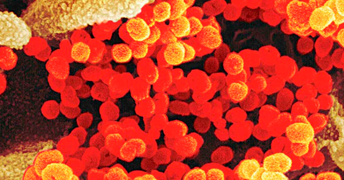 Pusieron al mundo en cuarentena; las epidemias del siglo XXI