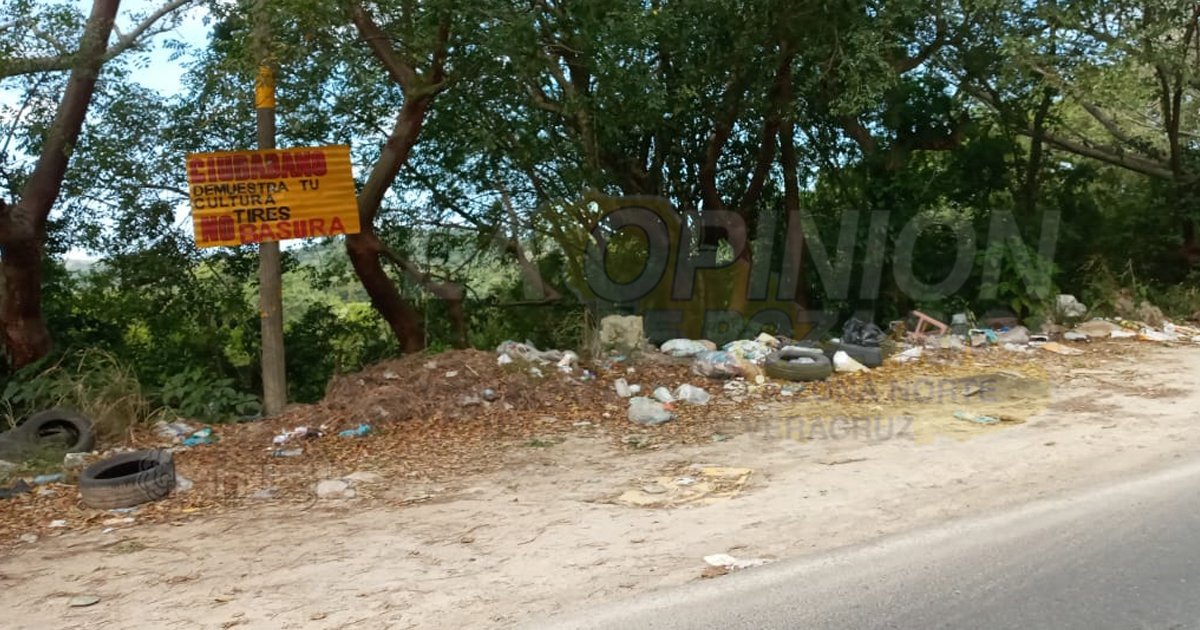 No les importa el medio ambiente