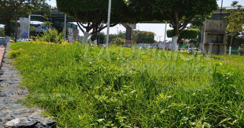 Abandonan áreas verdes en la Plaza Cívica, en Poza Rica