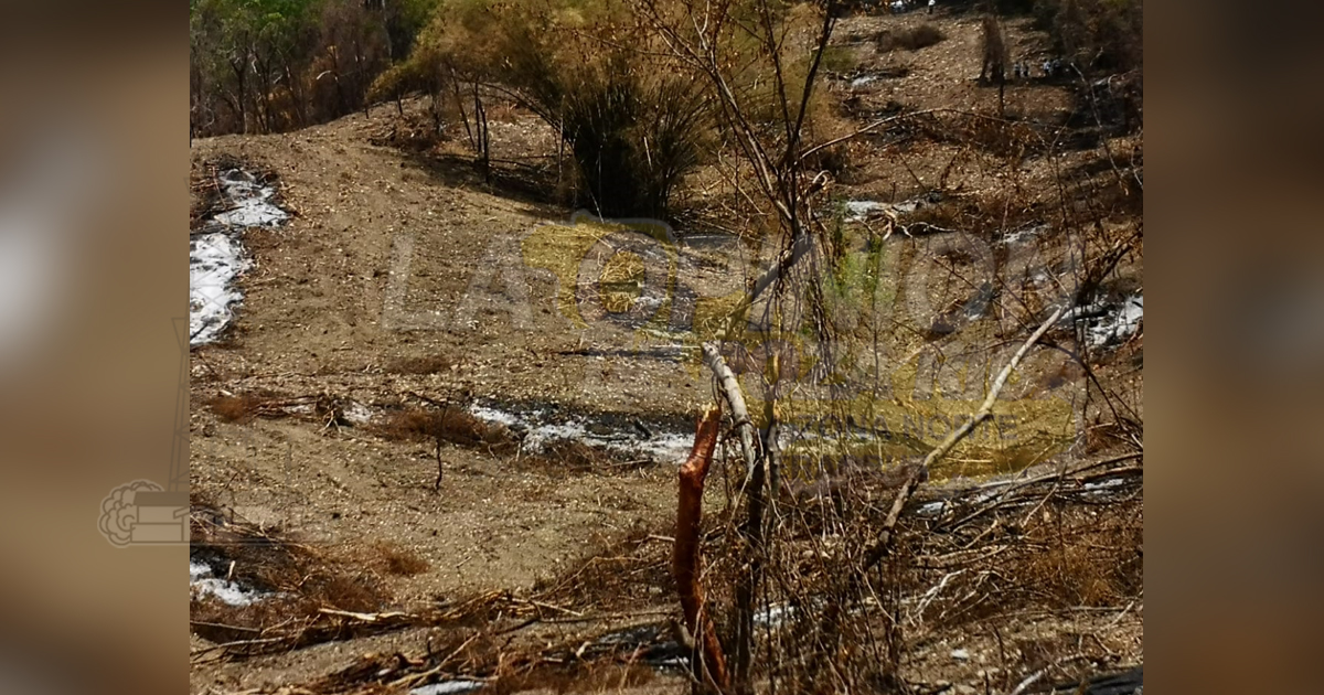 42 edificios del Tajín dañados