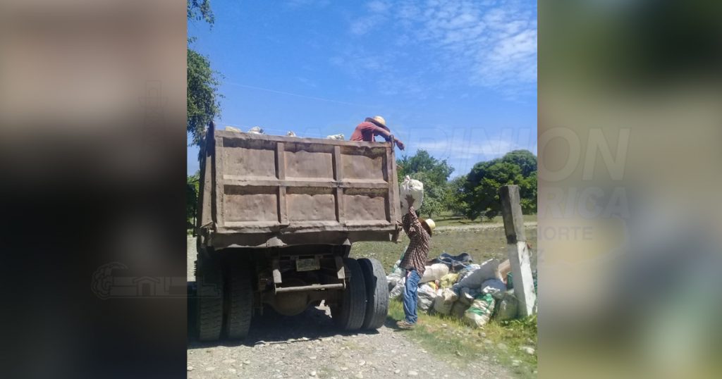 Enorme criadero de moscos en Comunidad de Espinal