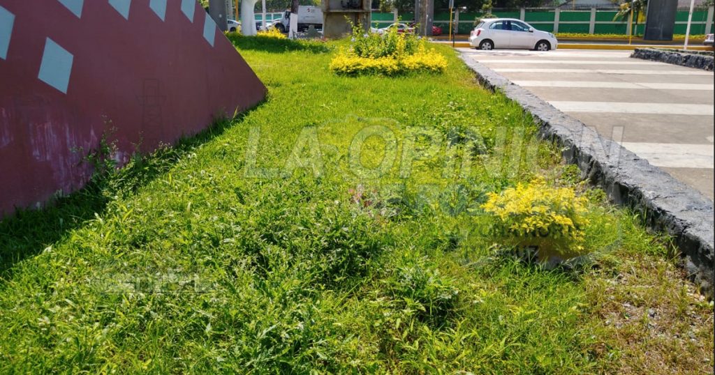 Abandonan áreas verdes en la Plaza Cívica, en Poza Rica