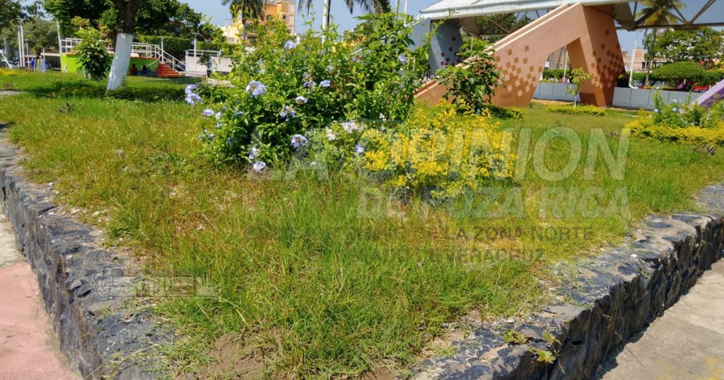 Abandonan áreas verdes en la Plaza Cívica, en Poza Rica