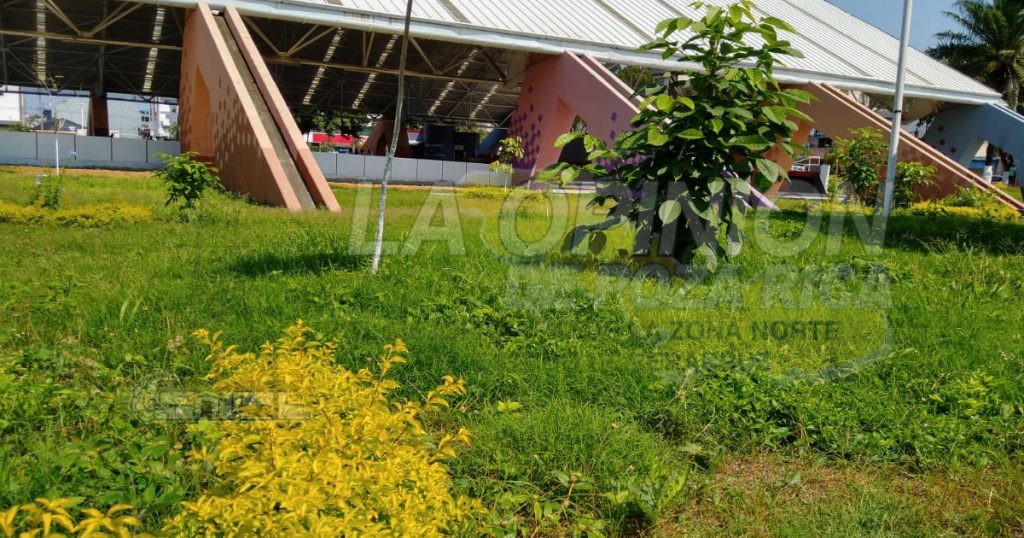 Abandonan áreas verdes en la Plaza Cívica, en Poza Rica