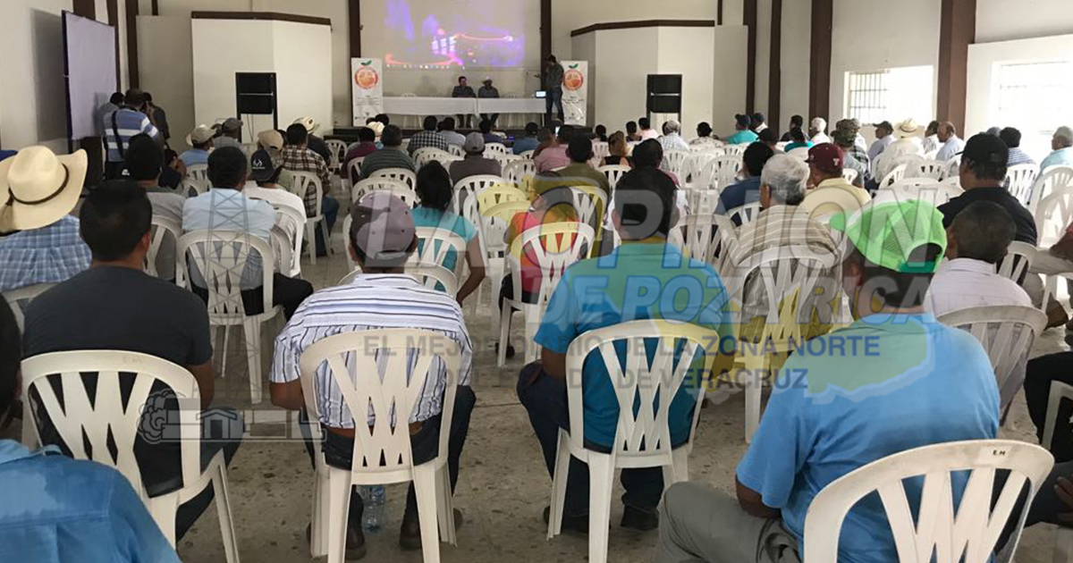 Productores de Castillo de Teayo, obligados a cumplir con la sanidad