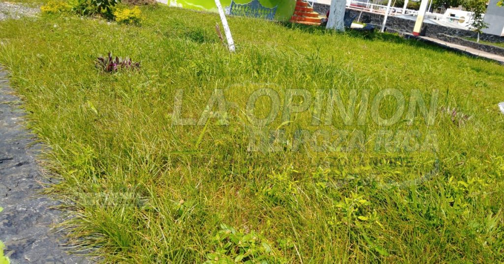 Abandonan áreas verdes en la Plaza Cívica, en Poza Rica
