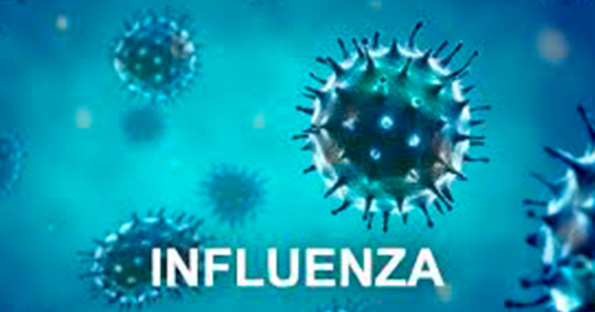 180 muertos por influenza, Veracruz