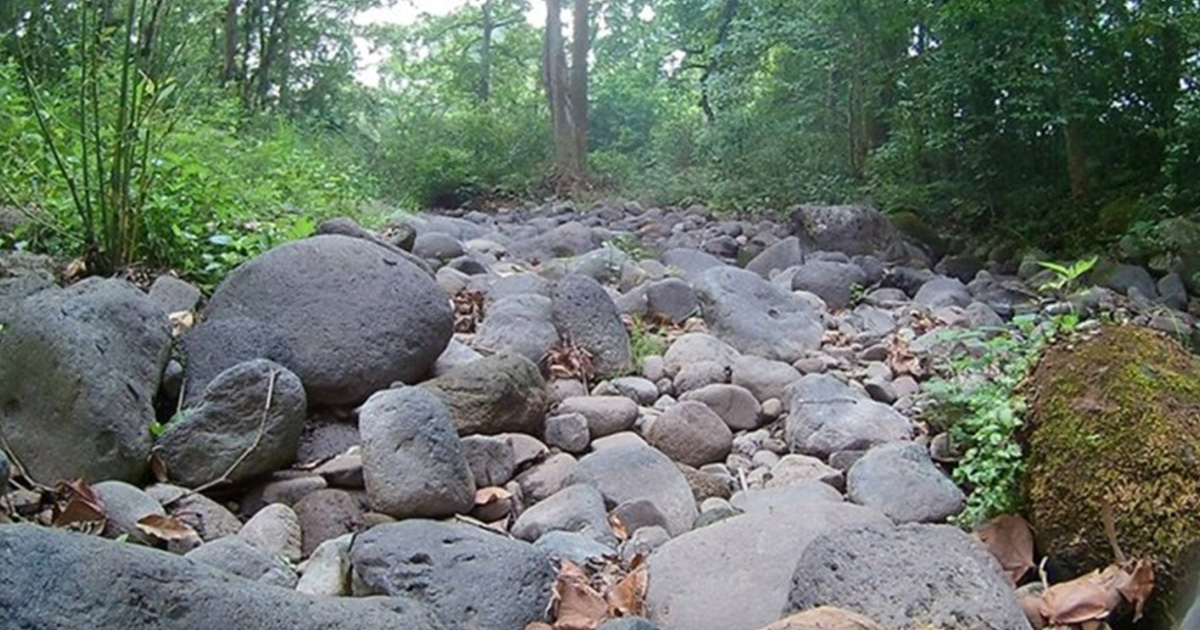Xalapa y la región se quedan sin agua por contaminación y sequía, advierten
