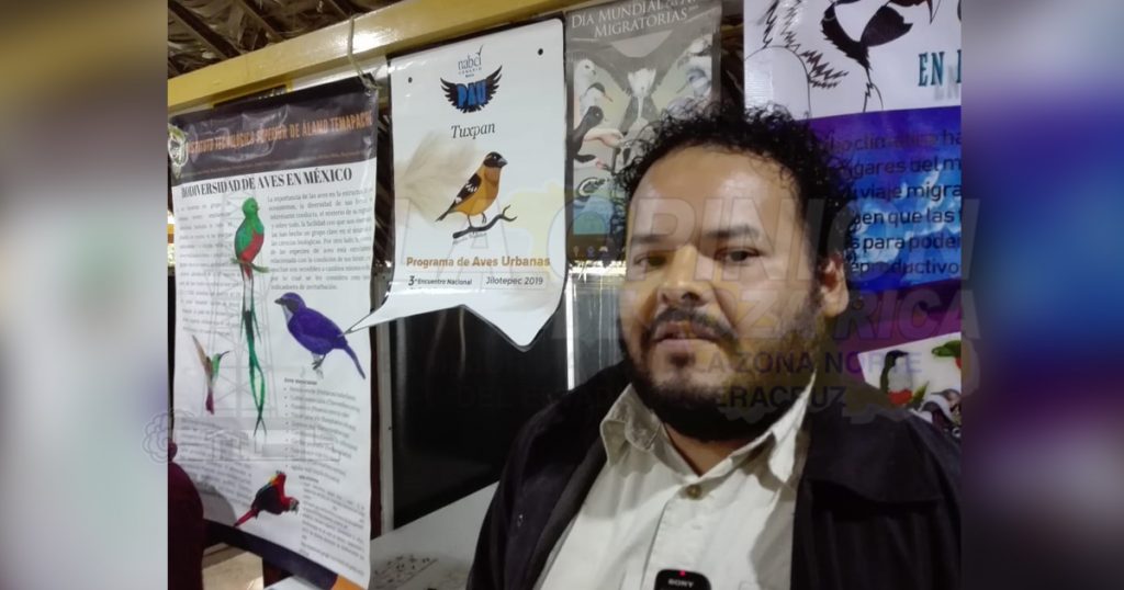 Gana concurso nacional imagen de restauración de los manglares