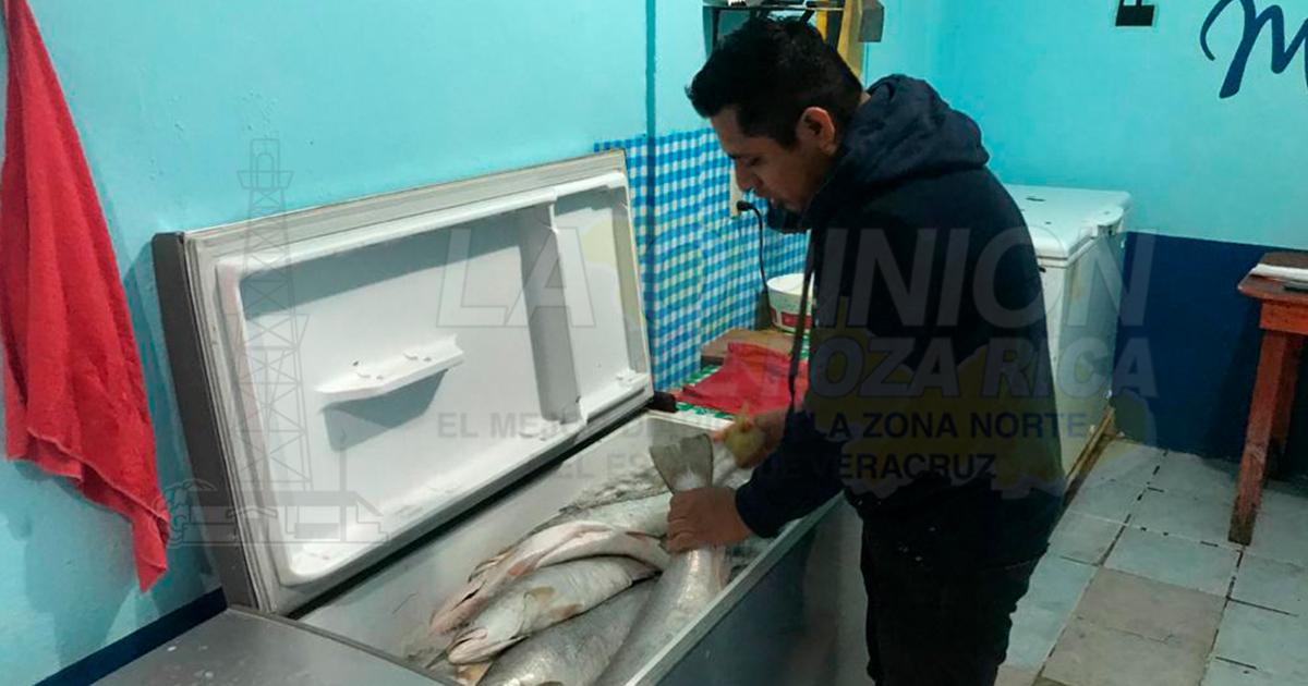 Ligero repunte en venta de mariscos