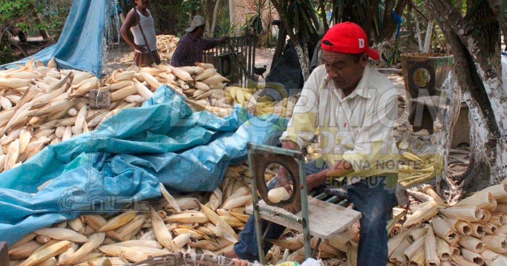 Necesaria planta de bioinsumos