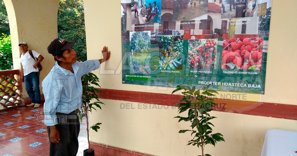 Necesaria planta de bioinsumos