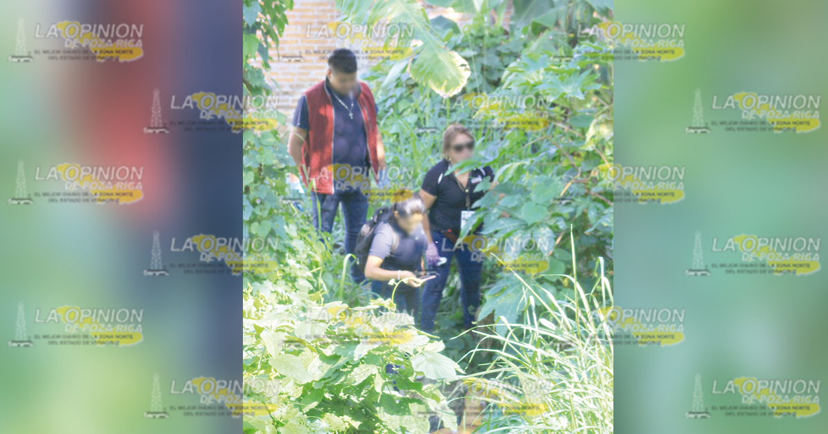 Hallan cadáver putrefacto en la colonia Agustín Lara