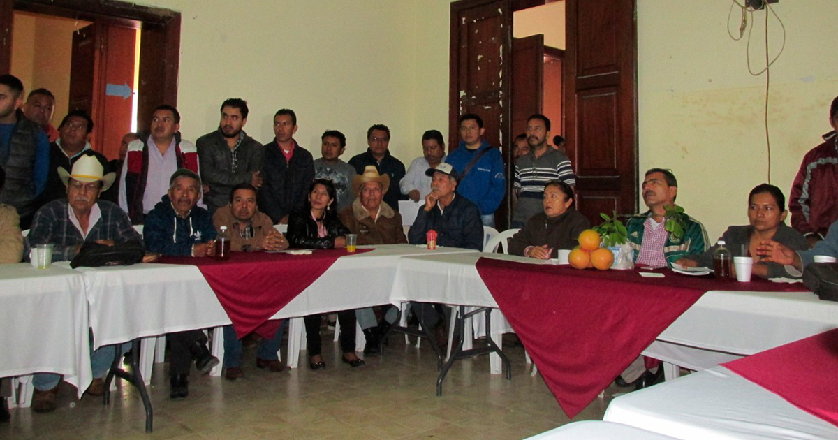 Básico alentar la producción orgánica