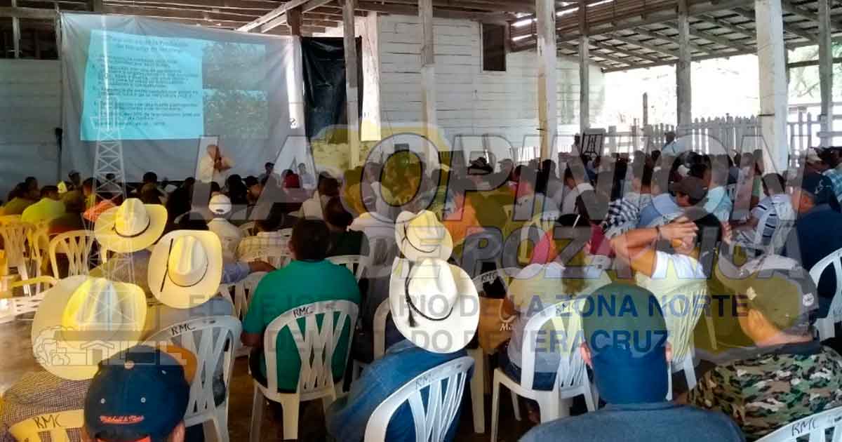 Capacitan a productores