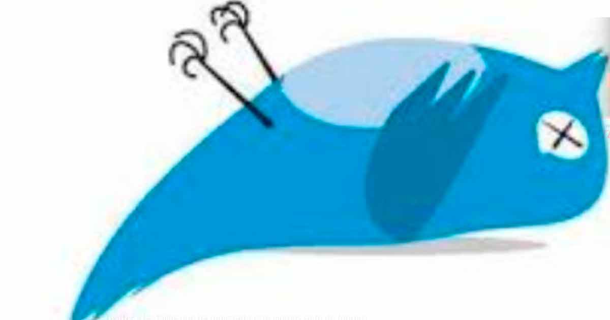 Caída de Twitter a nivel mundial causa revuelo entre los cibernautas