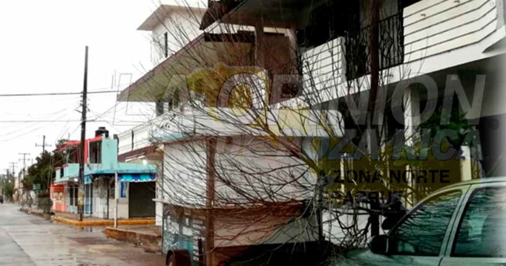 Caída de árboles, efectos del Frente Frío Número 41