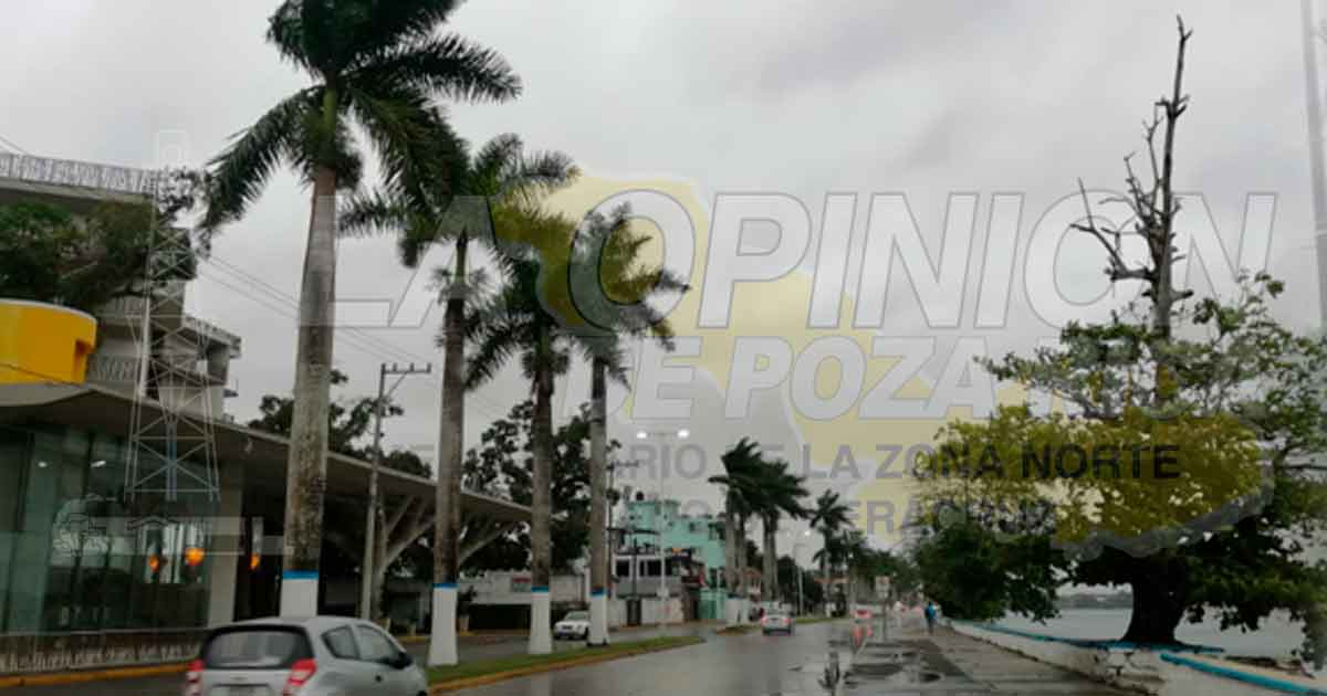 Caída de árboles, efectos del Frente Frío Número 41