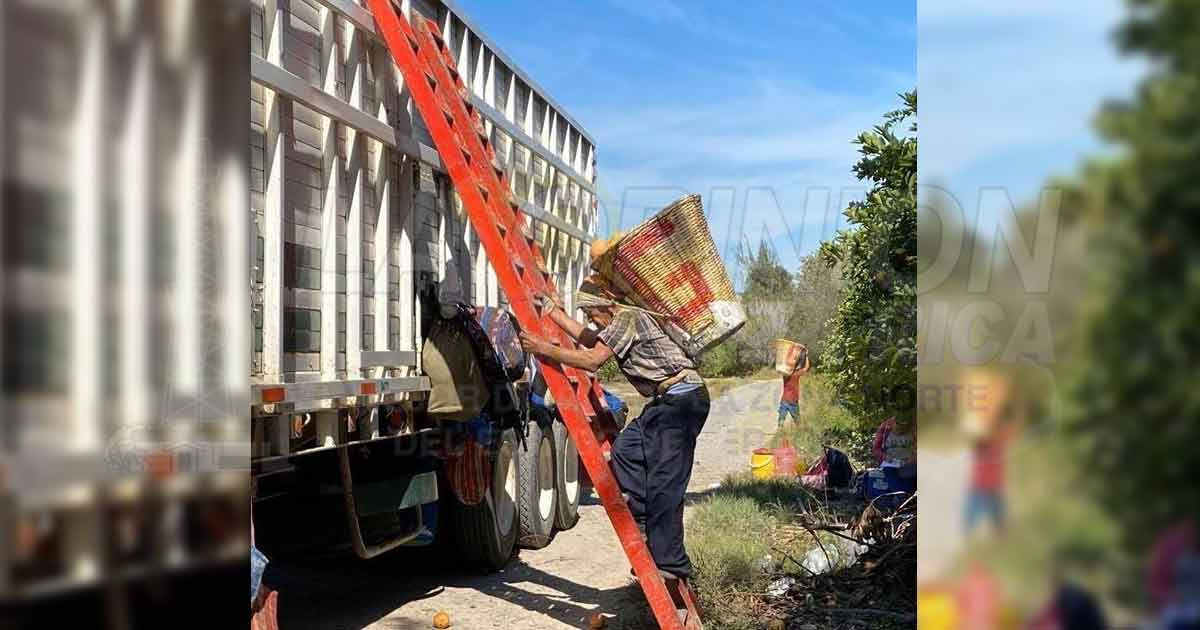 Citricultores piden apoyo en centros de acopio