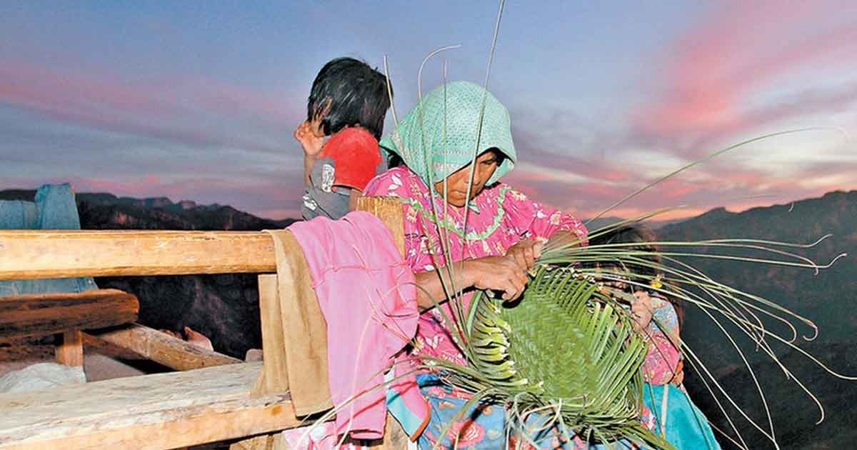 Alerta director del Inali sobre lingüicidio