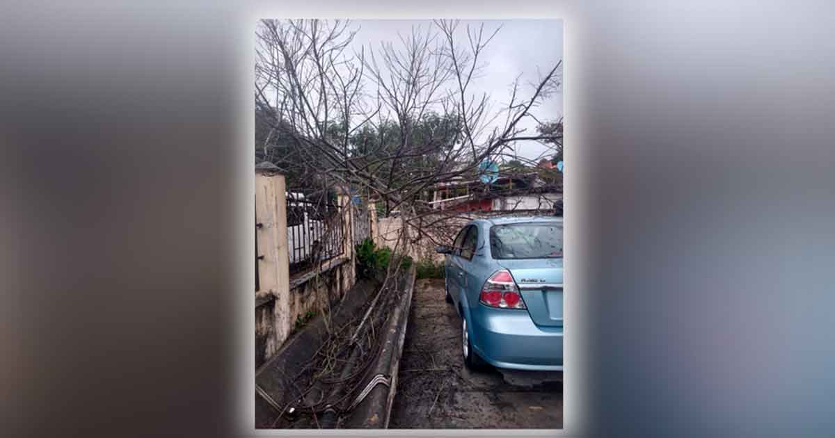 En Papantla declaran alerta permanente debido al frente frío 41