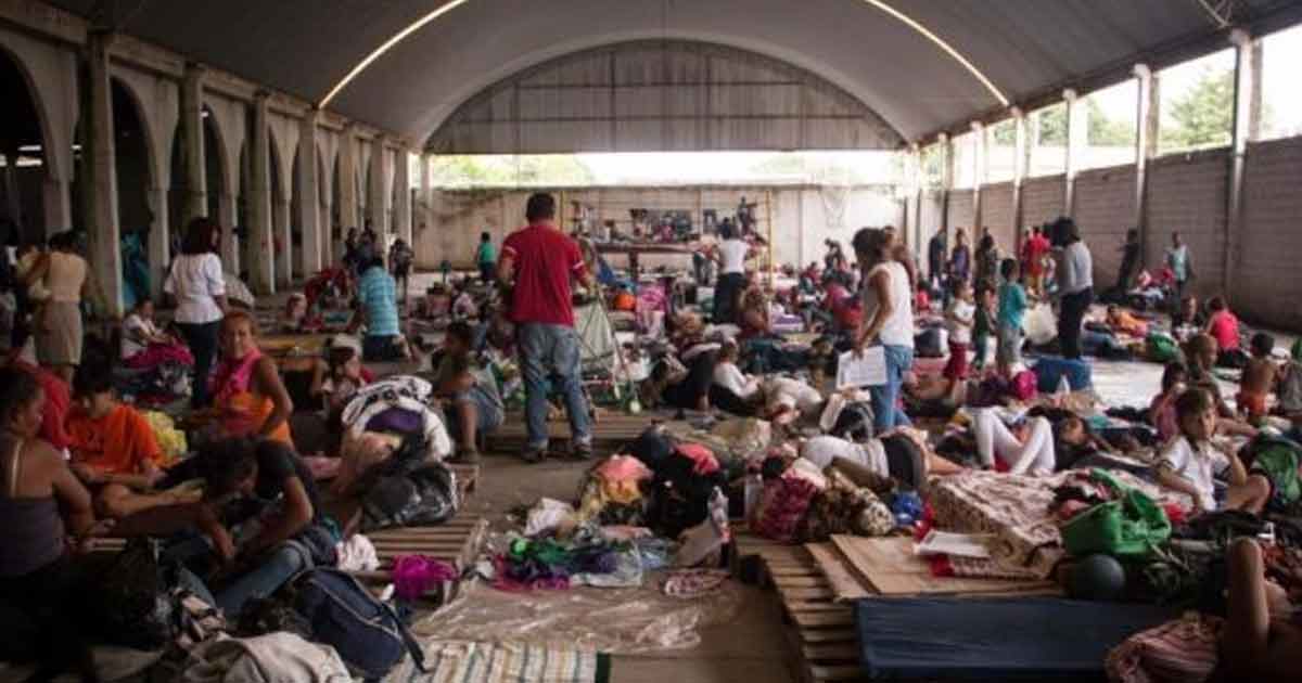 En Chiapas, 3,900 centroamericanos presentaron solicitud de refugio