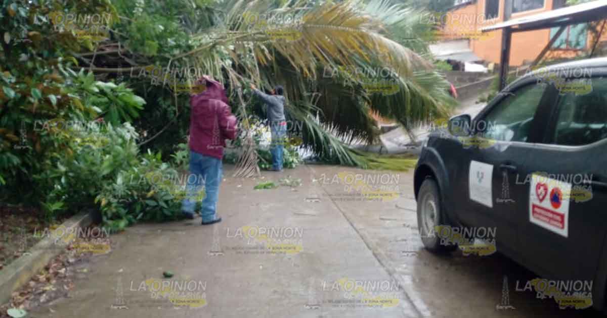 En Gutiérrez Zamora y Tecolutla afectaciones leves por el paso del Frente Frío