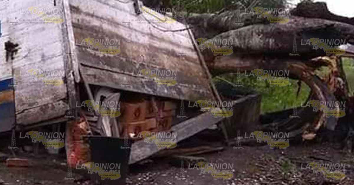 En Gutiérrez Zamora y Tecolutla afectaciones leves por el paso del Frente Frío