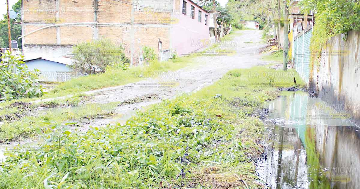 Enésimo brote de chapopote