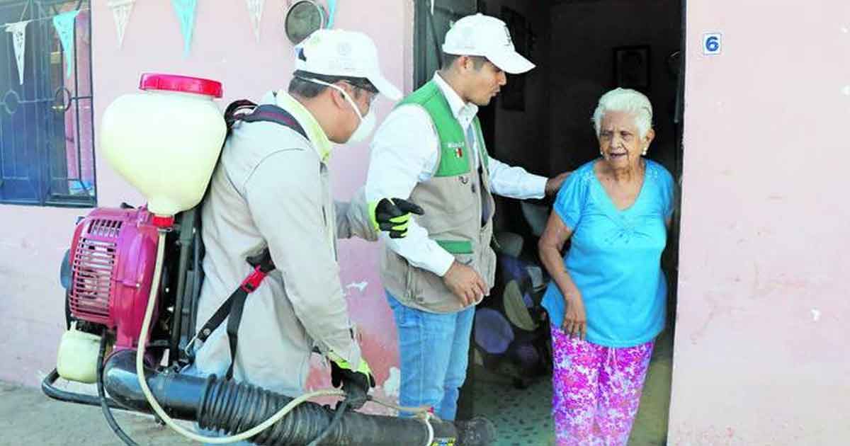 Estén alertas: ya el dengue es todo el año; van 138 casos en Veracruz