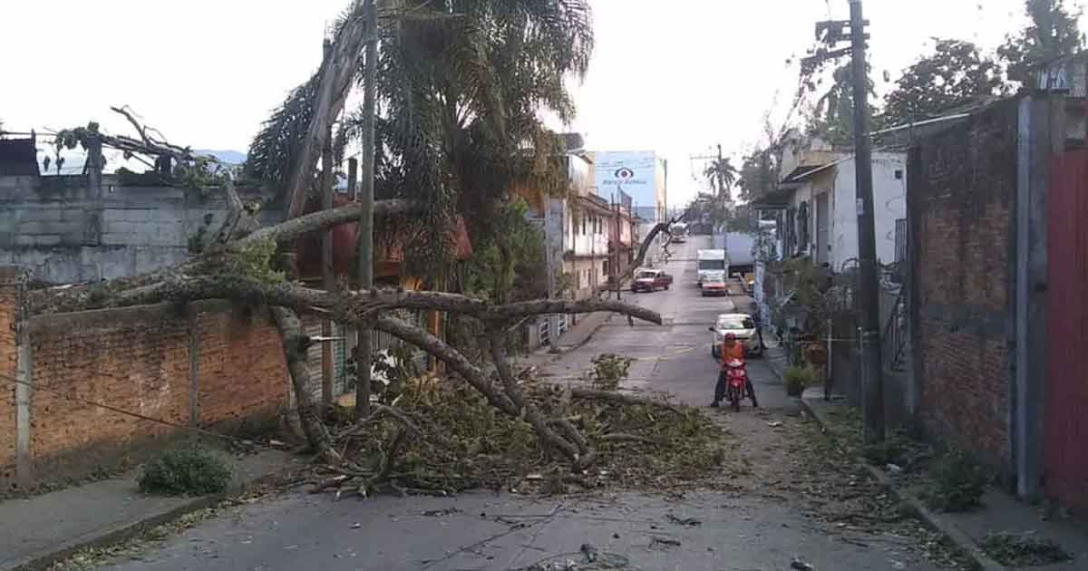 Surada azota Veracruz, zona centro queda afectada