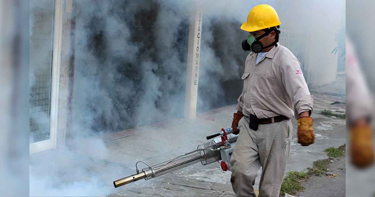 Veracruz, primer lugar en el país en casos de dengue