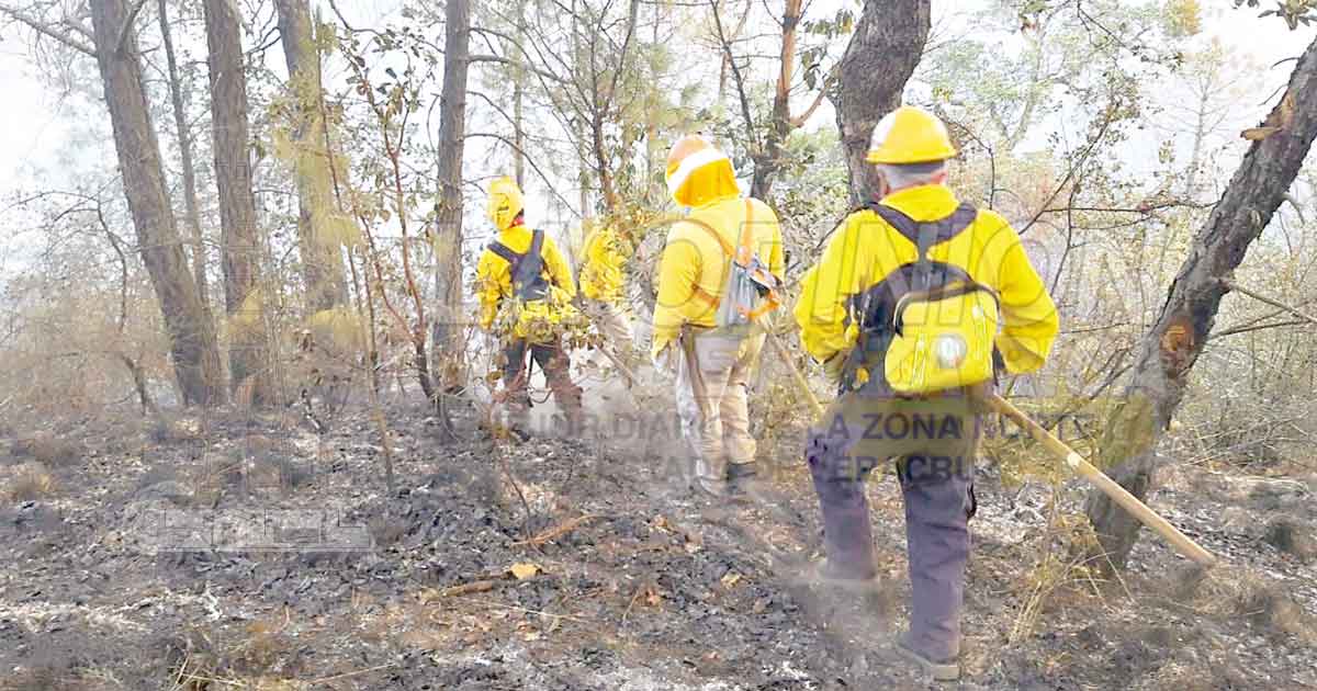 Controlan incendio forestal en Perote