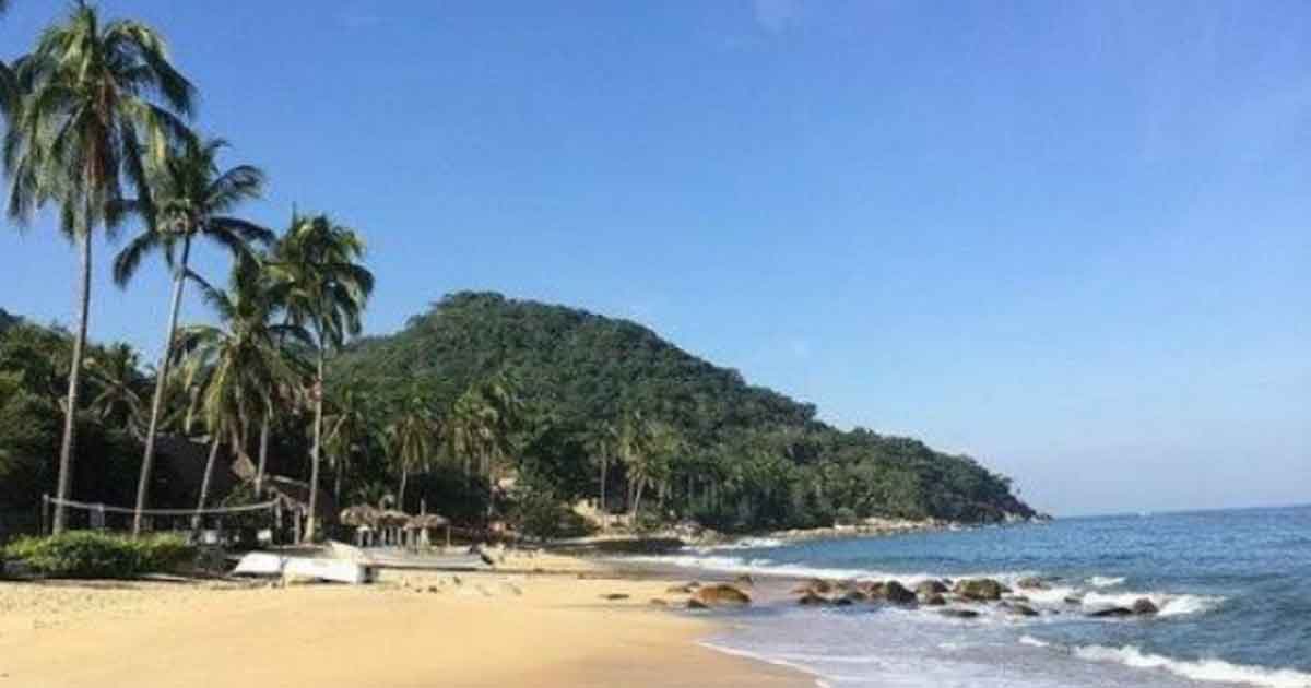 Hallan extraña criatura sin ojos y forma de delfín en playas de Puerto Vallarta