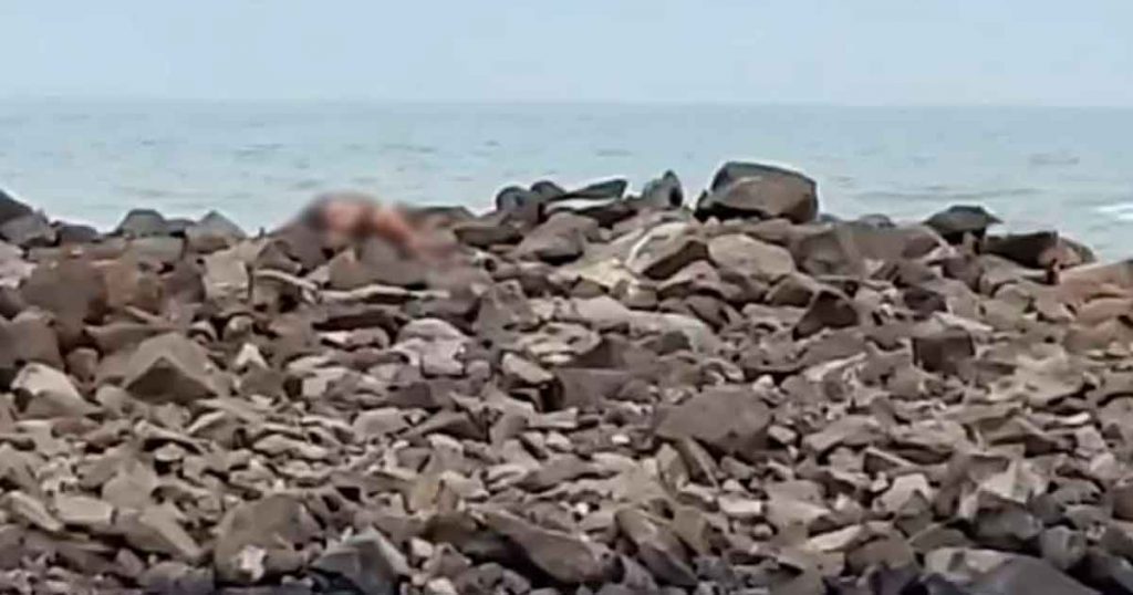 Hombre pierde la vida al salvar a sus menores hijos de ser arrastrados por las olas del mar