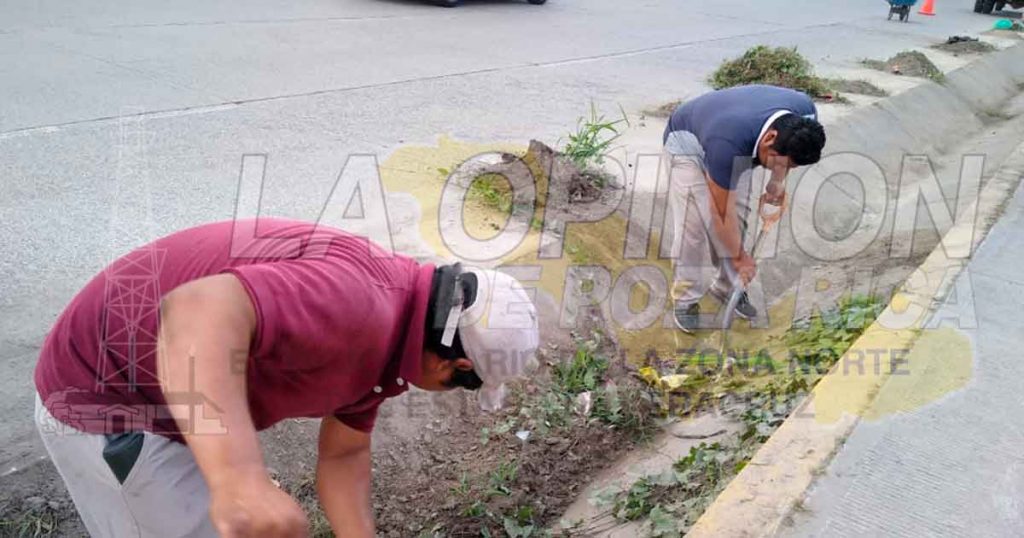 Desazolve y limpieza en las principales arterias de Poza Rica