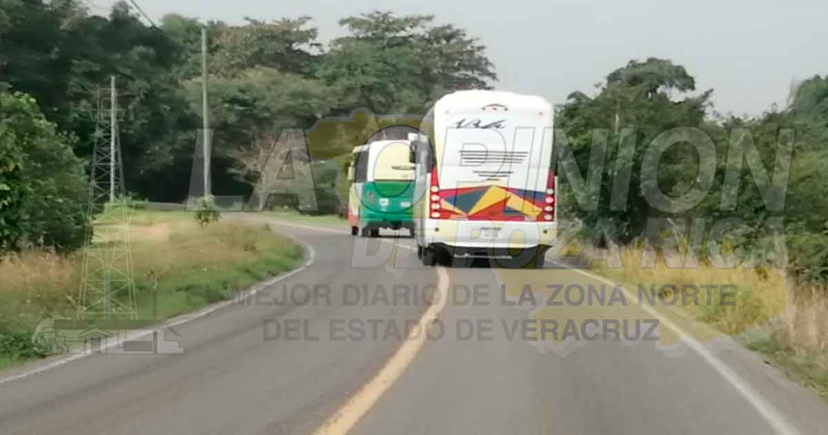 Lineas de autobuses se pelean el pasaje