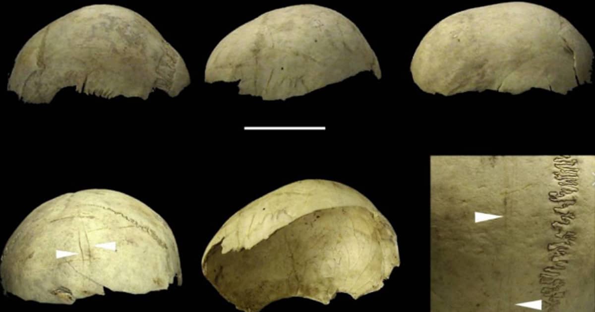 Los rituales caníbales sobrevivieron al mayor cambio cultural de la humanidad