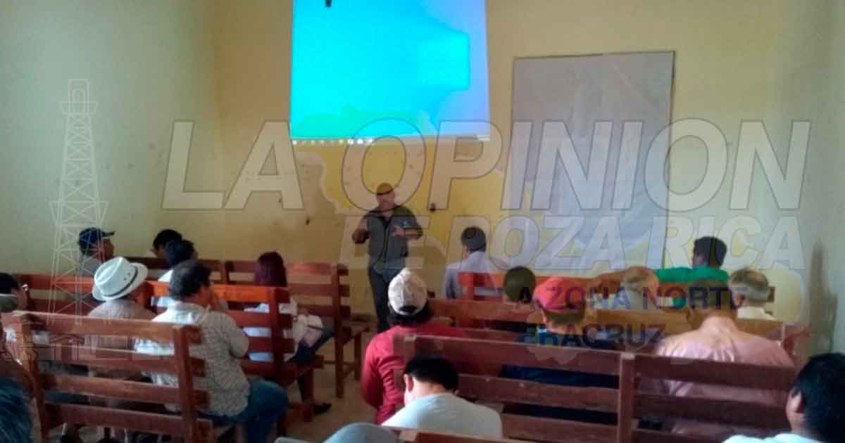 Necesario elaborar derivados de miel